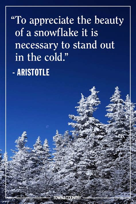 Winter Quotes On Snow