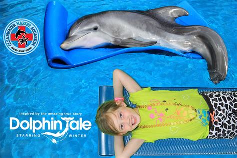 Winter the Dolphin Visit Tips