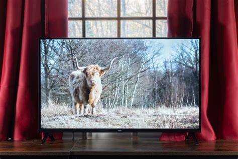 Wirecutter Best Small Tvs