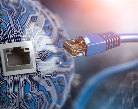 Wired Reliability and Performance