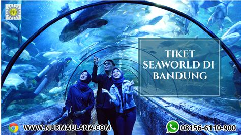 Wisata Aquarium Bandung