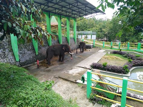 Wisata Gajah Mungkur