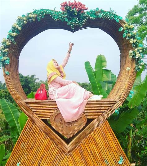 Menakjubkan 30+ Gambar Sunflower Garden Medan Gambar Bunga Indah