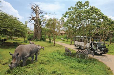 Taman Safari Puncak Bogor, Tempat Rekreasi Sekaligus Sarana Edukasi