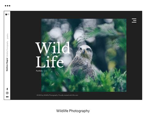 Wix Photography Website Templates