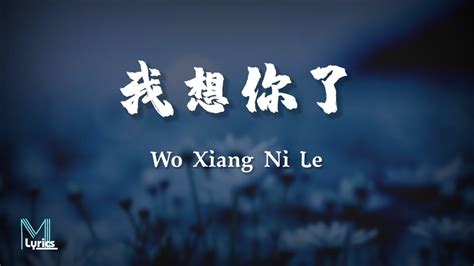 Wo Xiang Ni