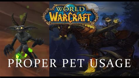 WoW Pet Utility