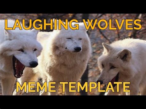 Wolf Meme Template