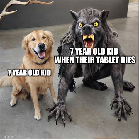 Wolf To Dog Meme