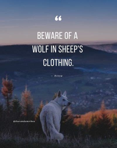 Unmasking the Deceptive: Wolves in Sheep's Clothing Quotes to Awaken Your Inner Survivor