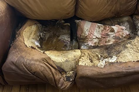 She Surrenders to the Comfort: A Heartfelt Tale of a Woman Melting Into Her Couch