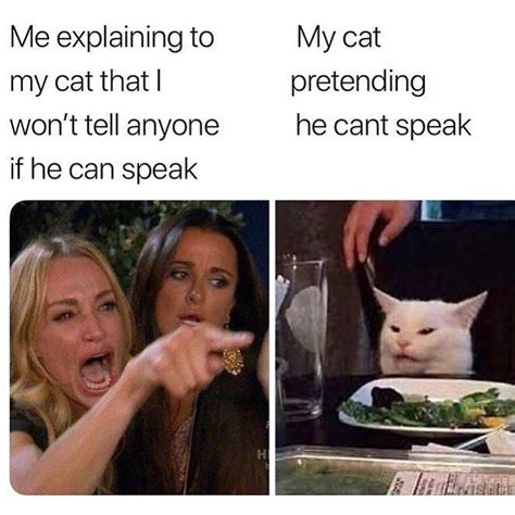 Woman Yelling Cat Meme 2019