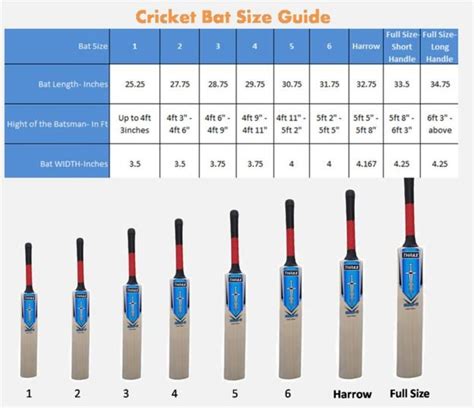 Women's cricket bat sizes