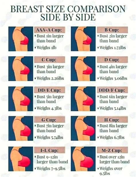 Women Breast Size Chart