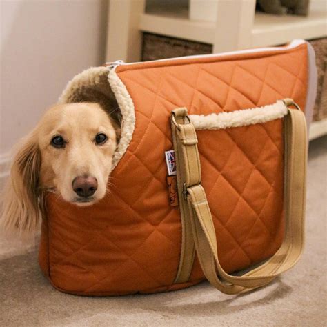 Wonderful Bags For Dogs To Carry