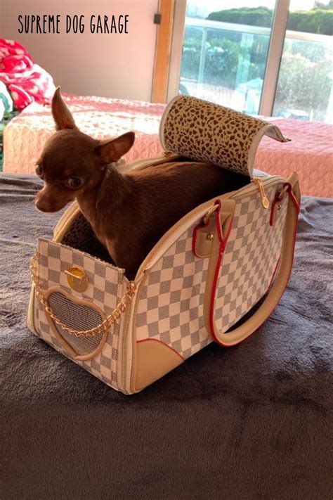 Wonderful Dog Carrier Designer