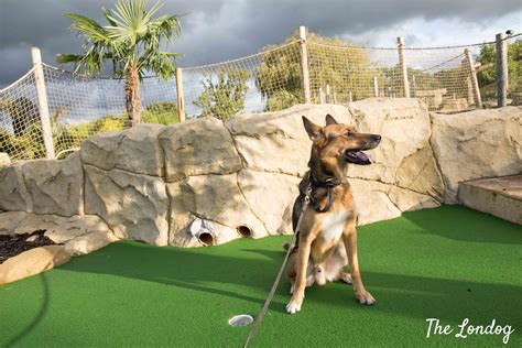 Wonderful Dog Friendly Mini Golf