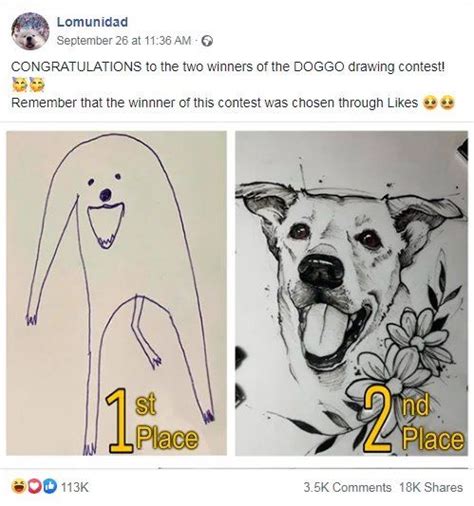 Wonderful Enter Our Good Doggo Contest