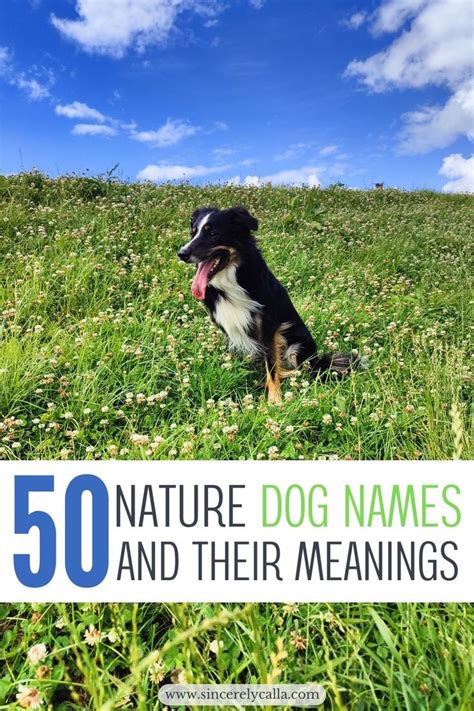 Wonderful Natural Dog Names