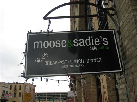 Wonderful North Loop Moose Sadies