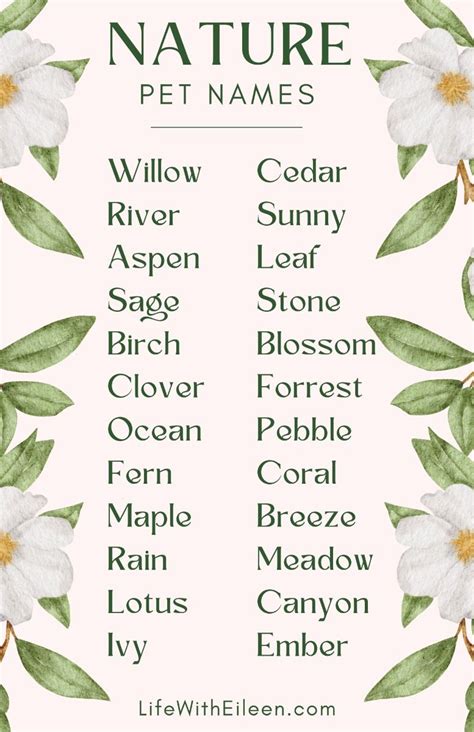 Wonderful Outdoors Names For Dogs