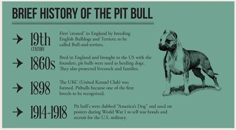 Wonderful Pit Bulls History