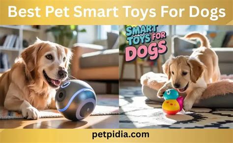 Wonderful Smart Toys Dogs