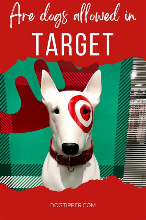 Wonderful Target Dogs Allowed