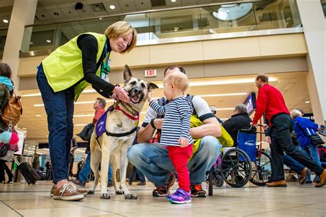 Wonderful Therapy Dogs Msp
