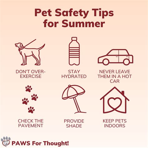 Wonderful Tips Pets Safety Home