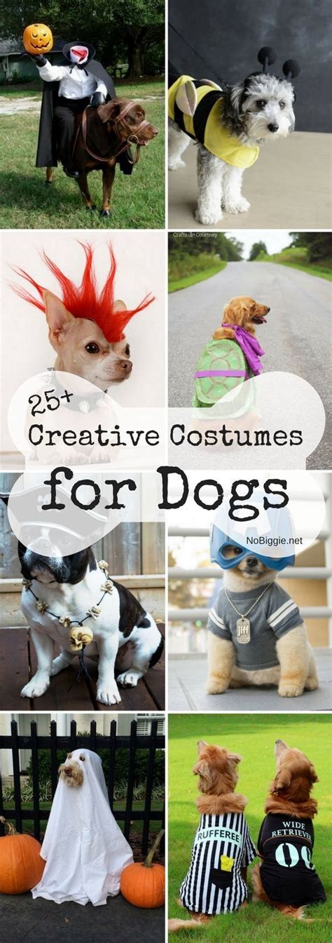 Wonderful Unique And Creative Dog Costumes
