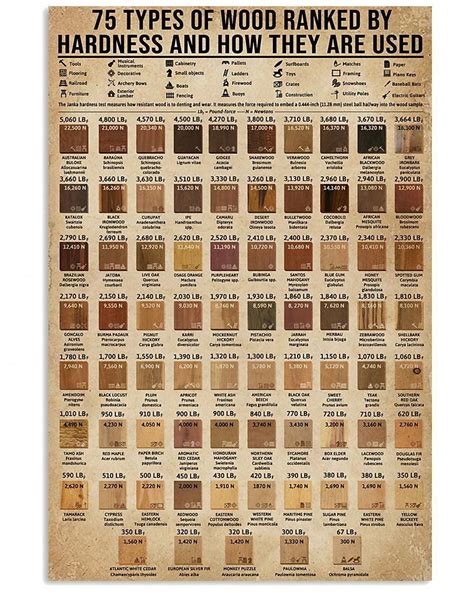 Wood Id Chart