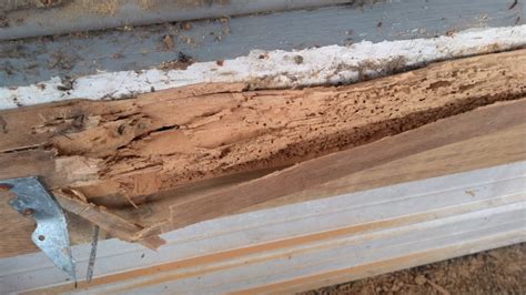 Wood Rot Damage on a Porch