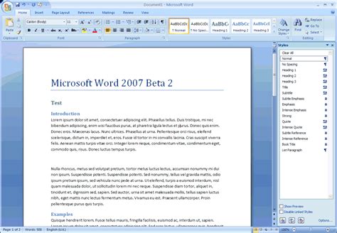 Word 2007