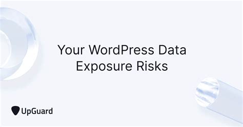 WordPress risks