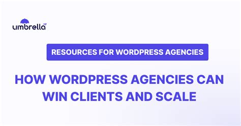 WordPress websites win