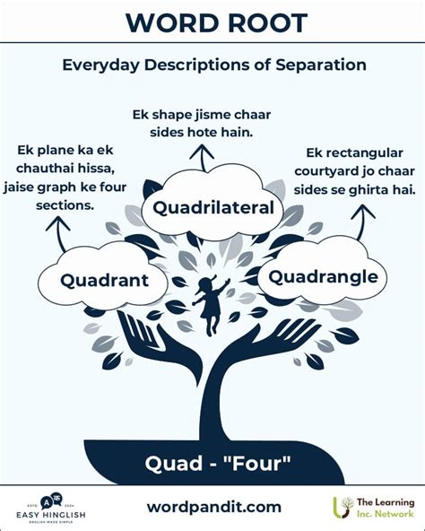 Words With The Root Quad