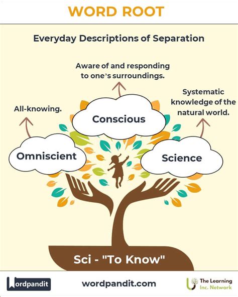 Words With The Root Sci