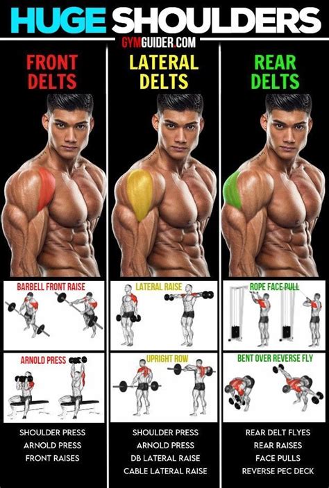 Work Out Deltoids