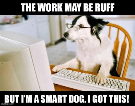 Working Dog Meme
