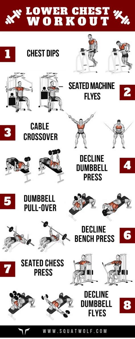 Working Out Lower Chest