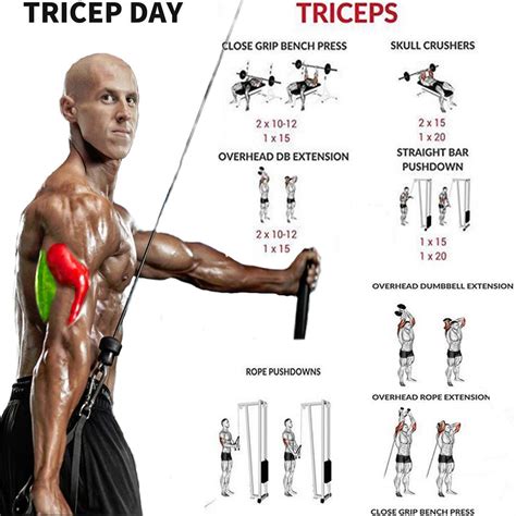 Working Out The Triceps