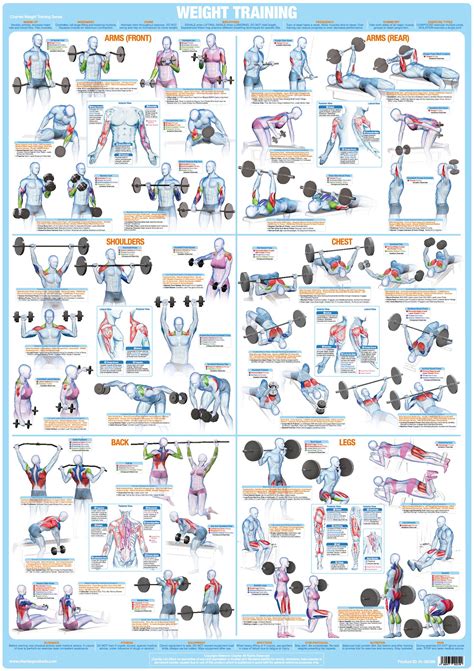 Workout Chart Hd Images