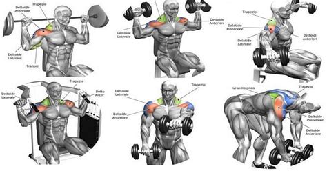 Workout For Delts