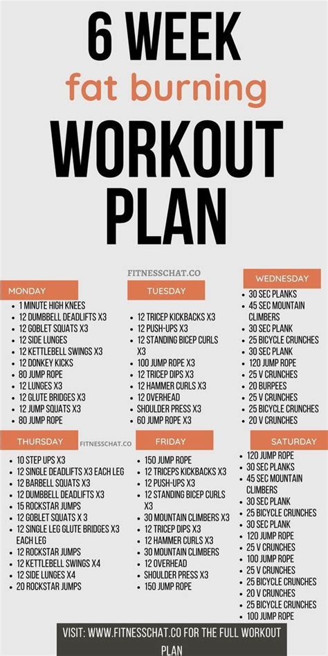 Workout Plan To Lose Weight In 6 Weeks
