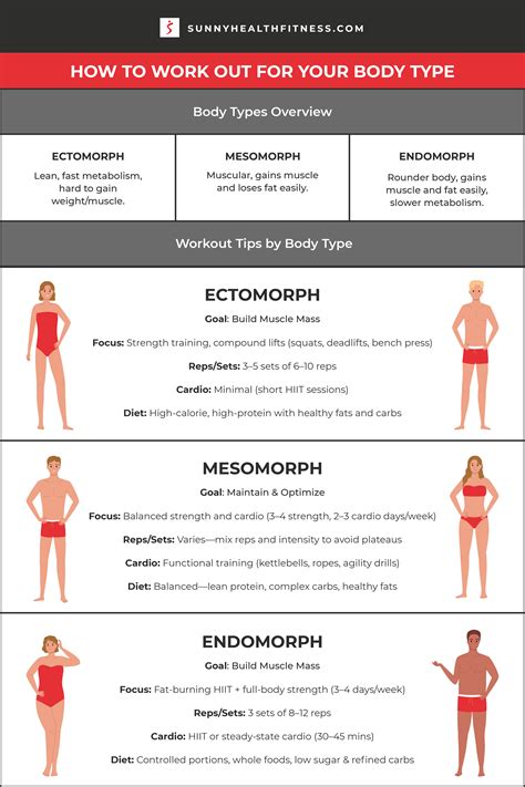 Workout Routine For Endomorph Body Type
