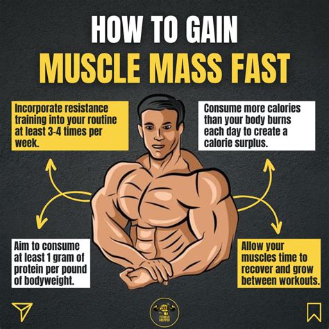 Workout Routine For Quick Mass Gain