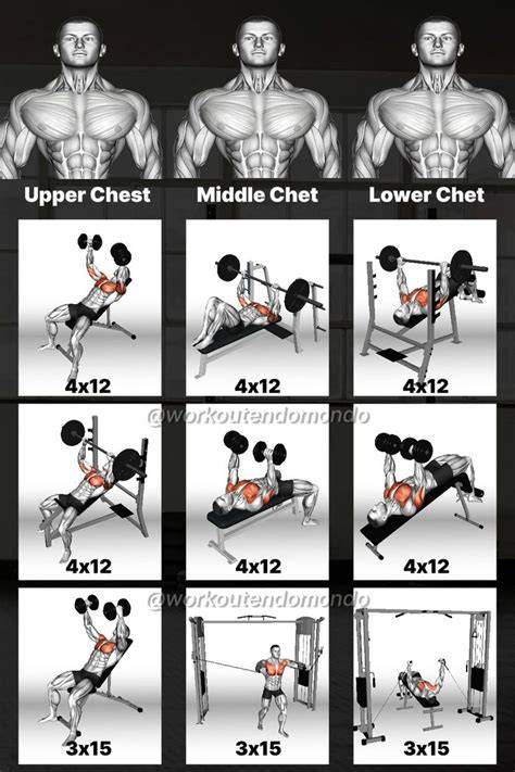 Workout Routine For Size