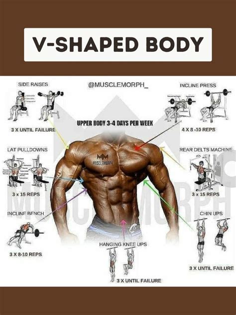 Workout Routine For V Shaped Body