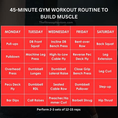 Workout Routine To Lose Weight And Build Muscle